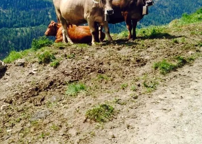 Trais Fluors By Interhome Casa vacanze